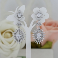 Picture of Luxury Cubic Zirconia Dangle Earrings 1JJ042431E