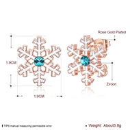 Picture of Snowflake Simple Stud Earrings 3LK053858E