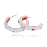 Picture of Classic Enamel Hoop Earrings Online Only