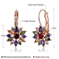 Picture of Pretty Cubic Zirconia Rose Gold Plated Small Hoop Earrings