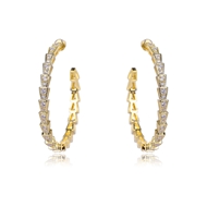 Picture of Luxury Big Big Hoop Earrings with Beautiful Craftmanship