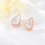 Show details for Classic Rose Gold Plated Stud Earrings for Girlfriend