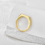 Picture of Hypoallergenic Gold Plated Delicate Fashion Ring with Worldwide Shipping