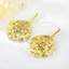 Show details for Zinc Alloy Medium Dangle Earrings with Full Guarantee