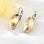 Show details for Pretty Swarovski Element Medium Dangle Earrings