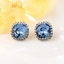 Show details for Popular Swarovski Element Fashion Dangle Earrings