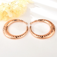 Show details for Zinc Alloy Colorful Dangle Earrings with Unbeatable Quality Show details for Zinc Alloy Colorful Dangle Earrings with Unbeatable Quality